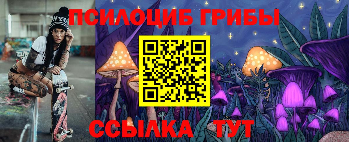 Лесозаводск  Псилоцибиновые грибы прущие грибы  Вход с VPN  Псилоцибиновые грибы ЛСД 