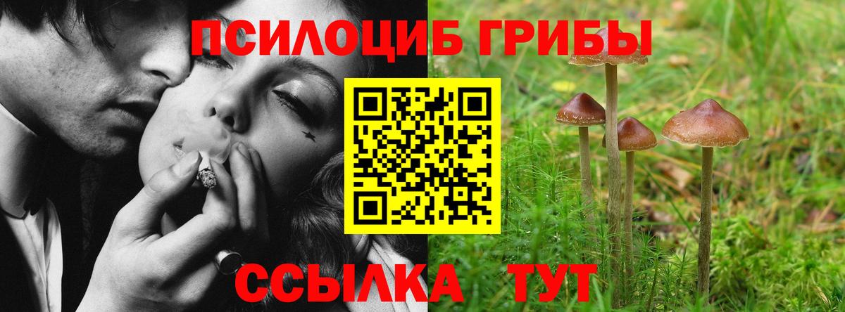 Галлюциногенные грибы мицелий Лесозаводск